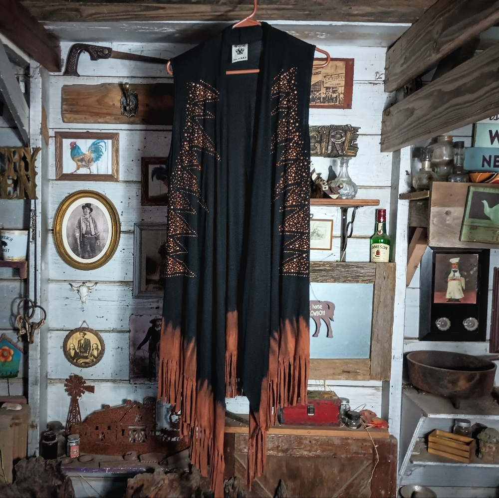 Vocal embellished western fringe vest - Picture 1 of 4